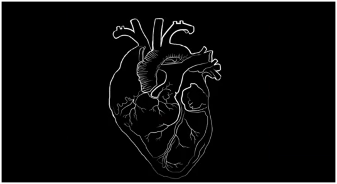 Elegies de la represa VI - YouTube 2020-05-25 13-33-41