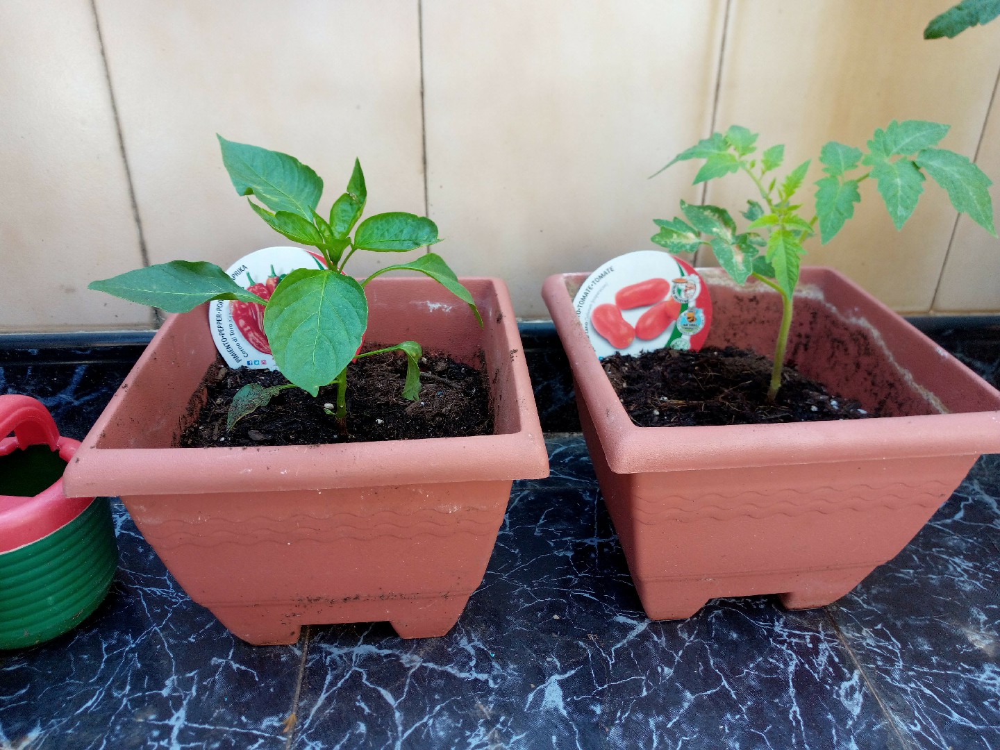 IMG_20200525_115652_3 [Tamaño Original]