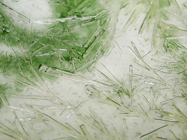 WIN_20211126_11_14_29_Pro