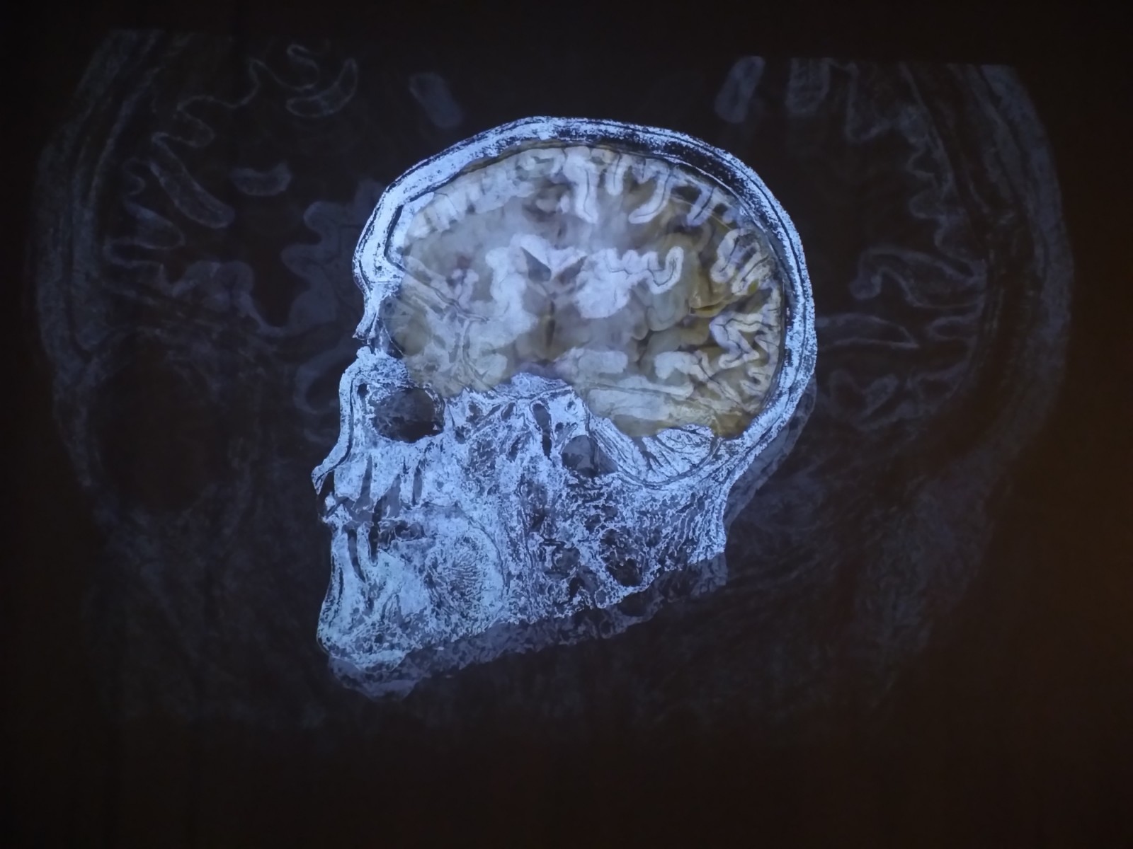 IMG_20221004_102150 (1)