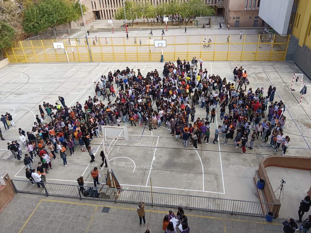 IMG_20221125_124649 (1)