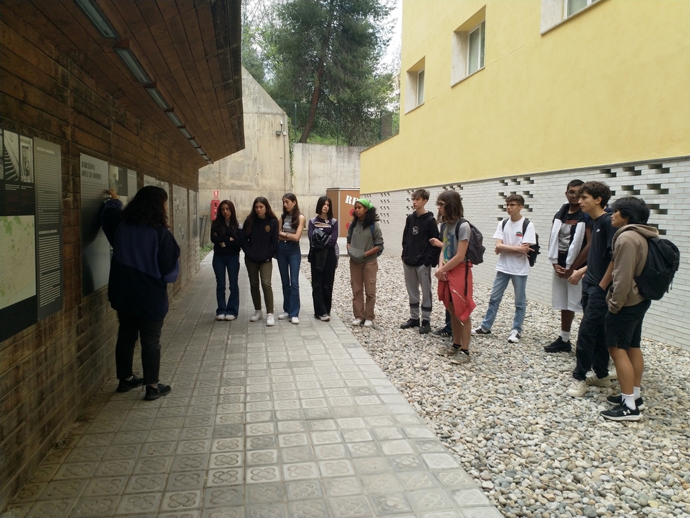 IMG_20230519_130623 (1) (1) (2) (1)