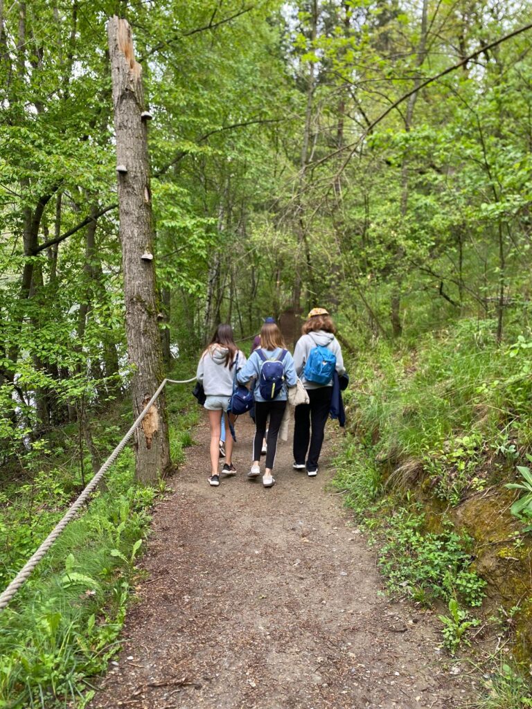 WhatsApp Image 2025-05-05 at 11.05.26