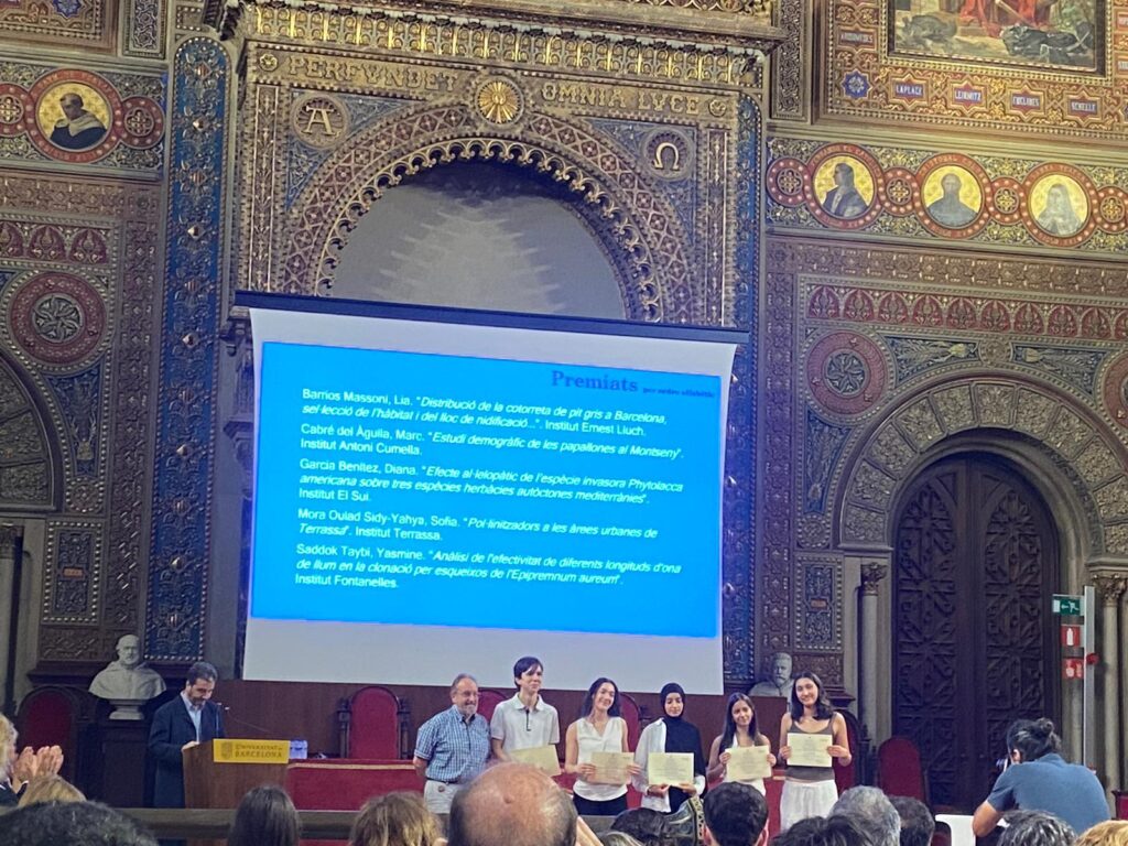 WhatsApp Image 2025-07-10 at 09.44.10