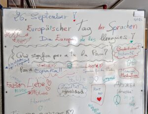 PXL_20250926_113928710.MP~4